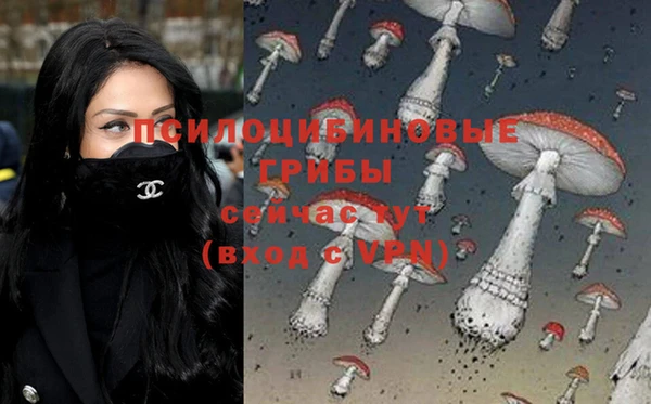 jwh Алзамай