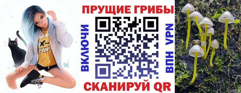 Псилоцибиновые грибы мицелий  Спасск 